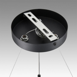 Подвесная люстра Lumion Comfi Luazana 8242/9