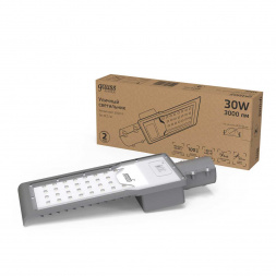 Уличный светодиодный светильник Gauss 629534130