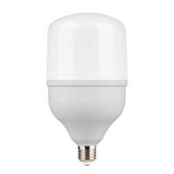 Лампа светодиодная Gauss E27 50W 6500K матовая 63235