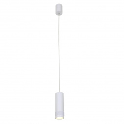 Подвесной светильник Favourite Kinescope 2453-1P