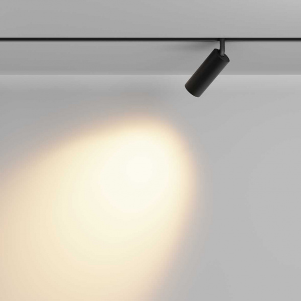 Трековый светильник Maytoni Technical Focus LED TR032-2-12W2.7K-M-B