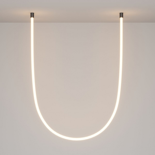 Крепление потолочное Maytoni (2 шт) LNM-D25-2CS-B 20320