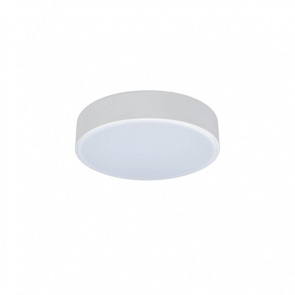 Потолочный светодиодный светильник Loft IT Axel 10002/12 white