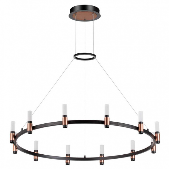 Подвесная светодиодная люстра Odeon Light Candel 5009/48L