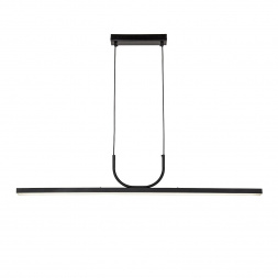 Подвесная светодиодная люстра Favourite Raya 4096-2P