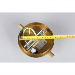 Бра Aployt Penelopa APL.643.01.01