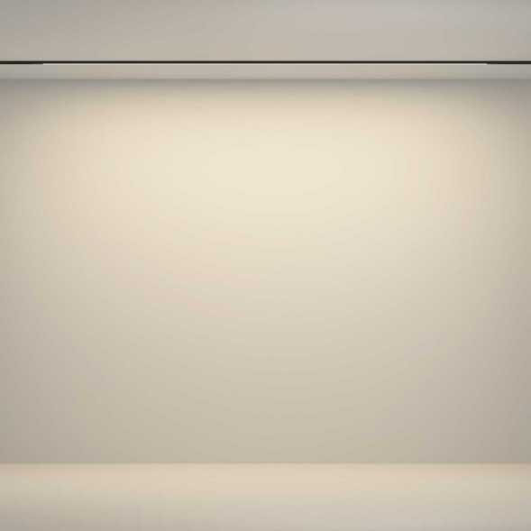 Трековый светильник Maytoni Technical TR180-1-24WTW-B