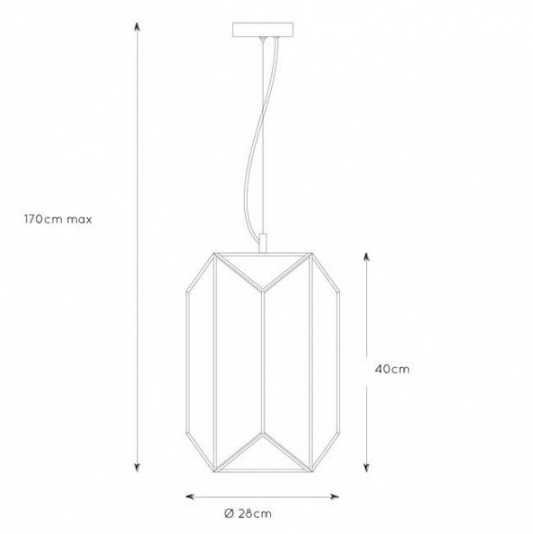 Подвесной светильник Lucide Fern 25406/01/30