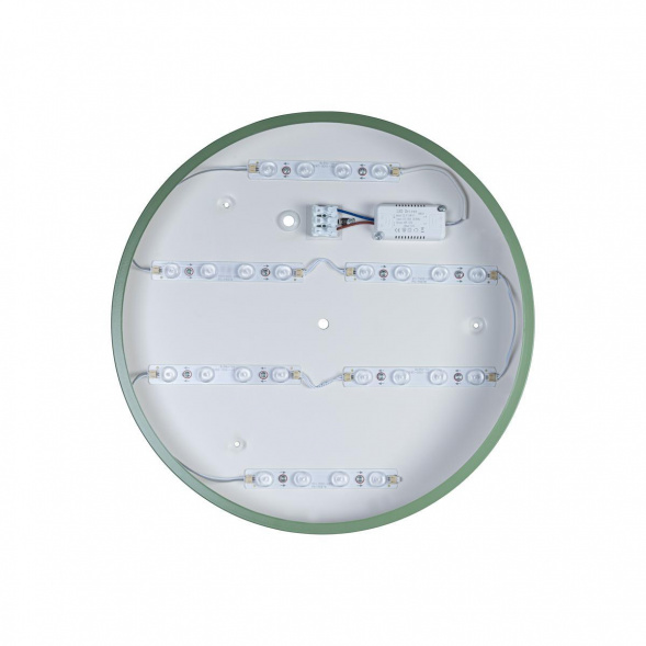 Потолочный светодиодный светильник Loft IT Axel 10002/24 green