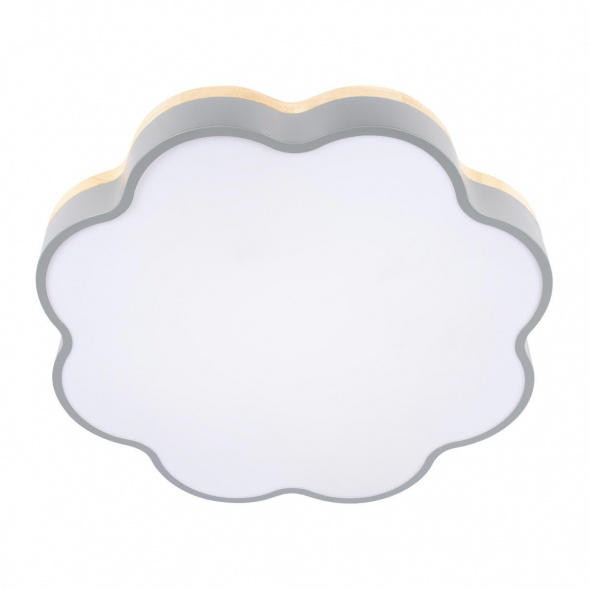 Потолочный светодиодный светильник Loft IT Axel 10225/36 Grey