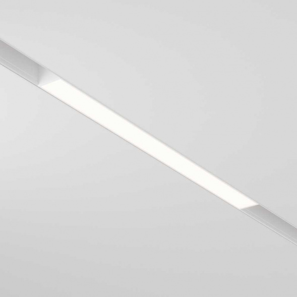 Трековый светодиодный светильник Maytoni Technical Basis TR030-2-12W3K-W