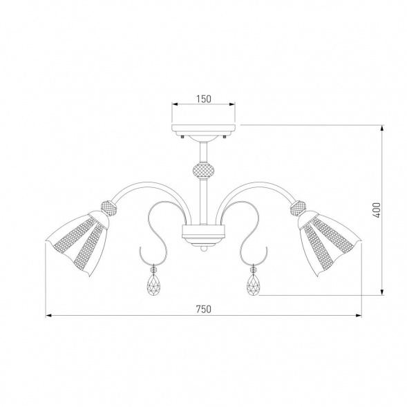 Потолочная люстра Eurosvet Floranse 30155/8 белый