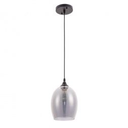 Подвесной светильник Arte Lamp Propus A4344SP-1BK