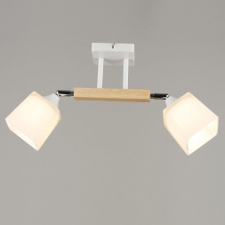 Потолочный светильник Reluce 04719-0.3-02