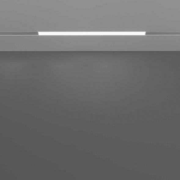 Трековый светодиодный светильник Maytoni Technical Basis TR030-2-12W4K-W