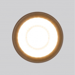 Уличный светодиодный светильник Elektrostandard Light Led 35132/H черный a056231