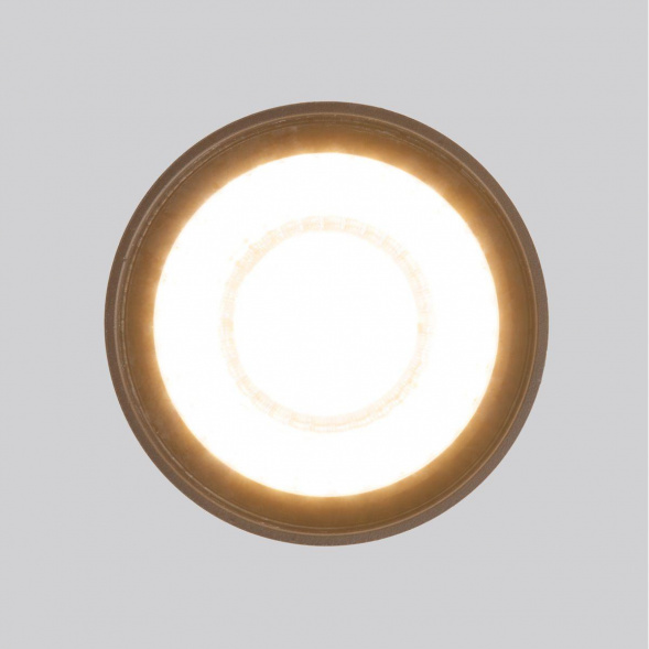 Уличный светодиодный светильник Elektrostandard Light Led 35132/H черный a056231