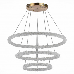 Подвесной светодиодный светильник ST Luce Avana SL6110.203.03