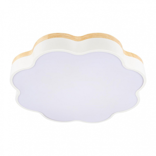 Потолочный светодиодный светильник Loft IT Axel 10225/36 White