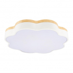 Потолочный светодиодный светильник Loft IT Axel 10225/36 White