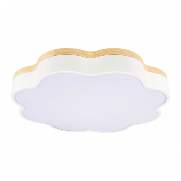 Потолочный светодиодный светильник Loft IT Axel 10225/36 White