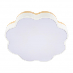 Потолочный светодиодный светильник Loft IT Axel 10225/36 White