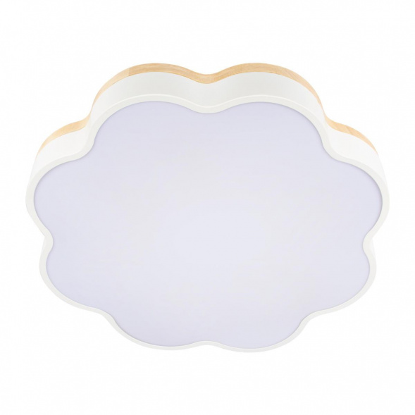 Потолочный светодиодный светильник Loft IT Axel 10225/36 White