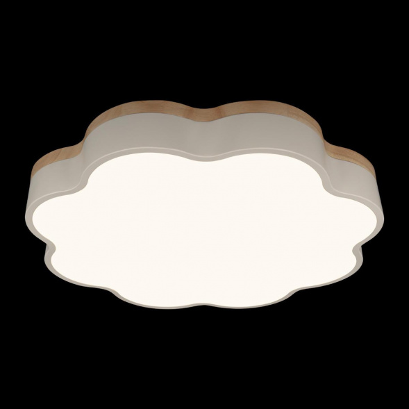 Потолочный светодиодный светильник Loft IT Axel 10225/36 White