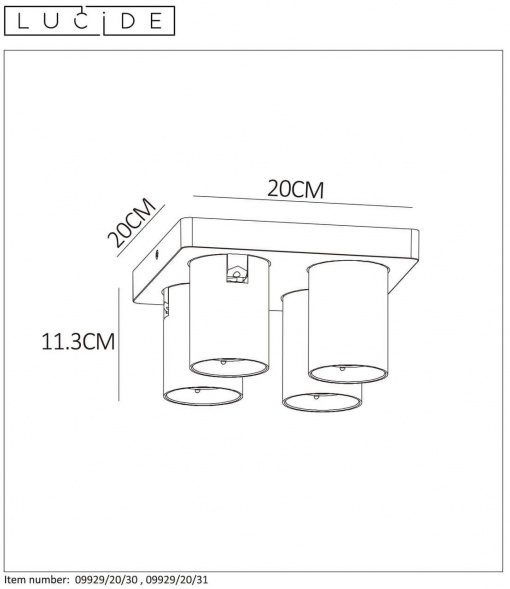 Спот Lucide Nigel 09929/20/31