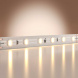 Светодиодная лента Maytoni Led Strip 5м 201165