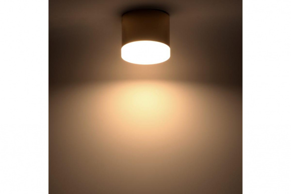 Накладной потолочный светильник Ritter Arton 59949 4