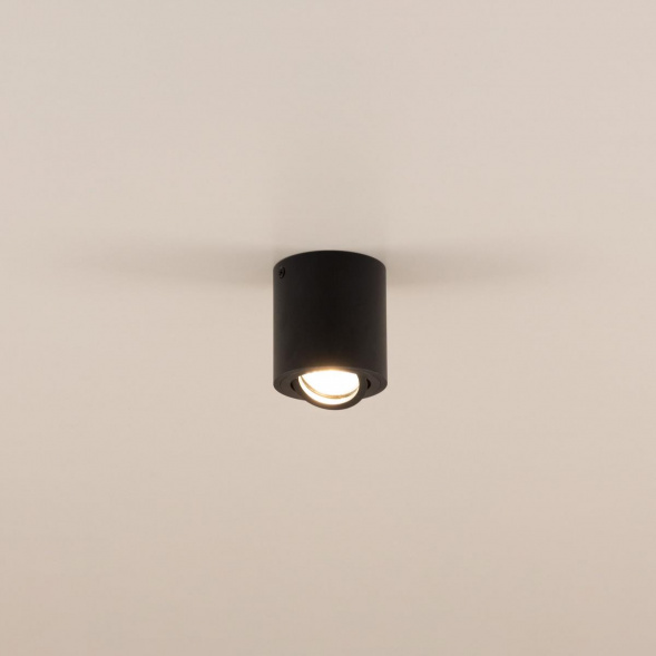 Потолочный светильник Citilux Дюрен CL538113