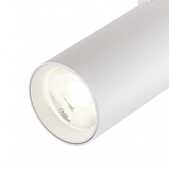 Трековый светодиодный светильник Escada 20002TRA/02LED SWH