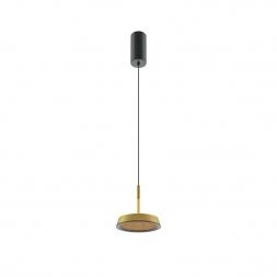 Подвесной светодиодный светильник Maytoni El MOD041PL-L15G3K