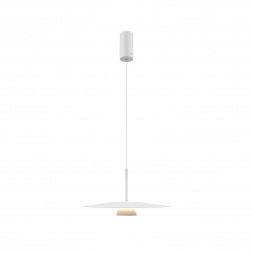 Подвесной светодиодный светильник Maytoni Platte MOD352PL-L10W3K