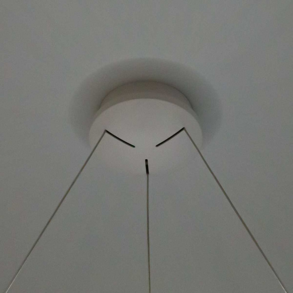 Подвесная люстра Citilux Стратус Смарт CL732A800GS