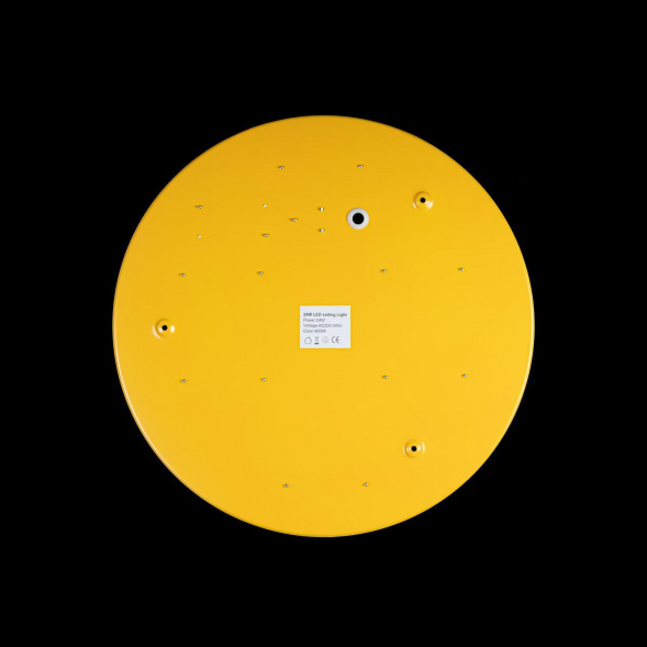 Потолочный светодиодный светильник Loft IT Axel 10002/24 yellow