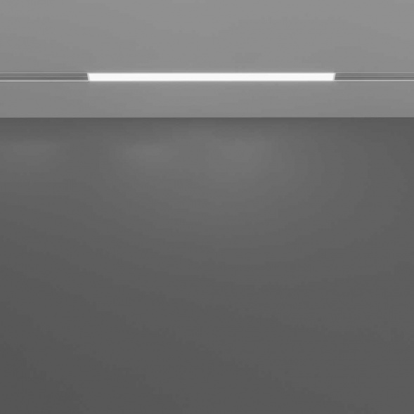 Трековый светодиодный светильник Maytoni Technical Basis TR030-4-12W3K-WW-DS-W