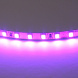 Светодиодная лента Lightstar 12W/m 120LED/m фиолетовый 5M 420518