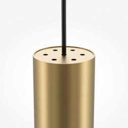 Подвесной светильник Maytoni Pro Focus MOD161PL-01G1