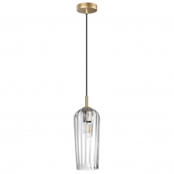 Подвесной светильник Lumion Suspentioni Ellie 6551/1B