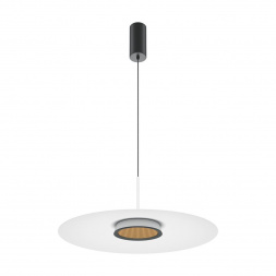 Подвесной светодиодный светильник Maytoni El MOD041PL-L15W3K1