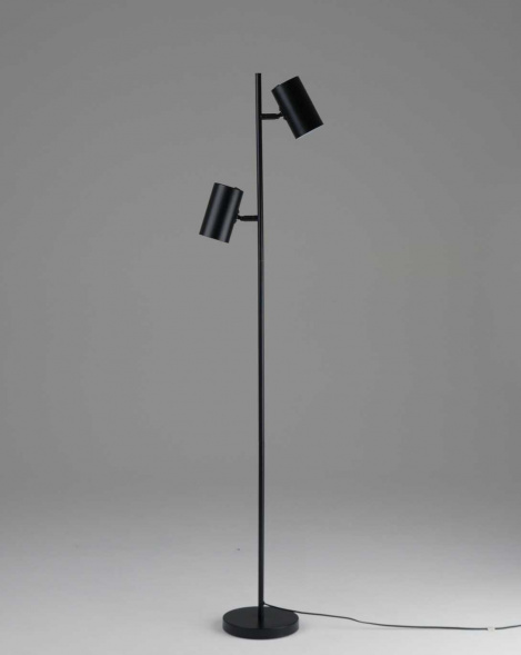 Торшер Moderli Ashes V11329-2F