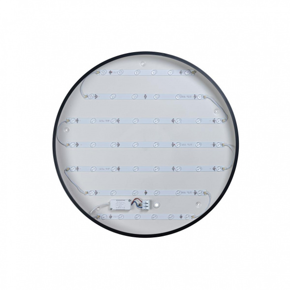 Потолочный светодиодный светильник Loft IT Axel 10002/48 black