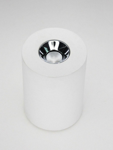 Потолочный светодиодный светильник Elvan NLS-210067-4.2W-WW-WhCh