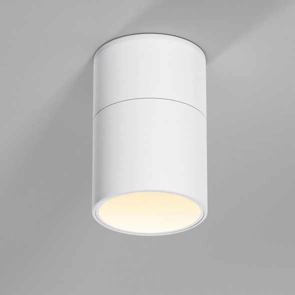 Потолочный светильник Elektrostandard 25112/LED a067486