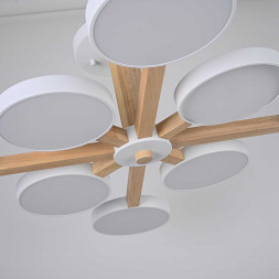 Потолочный светильник Imperium Loft TURNA-B01 228849-26