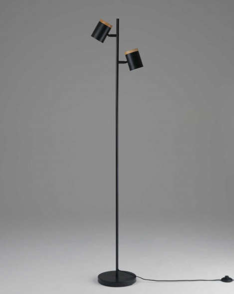 Торшер Moderli Asheswood V11287-2F