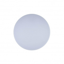 Потолочный светодиодный светильник Loft IT Axel 10002/48 white