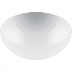 Настенно-потолочный светильник Feron НБП 06-60-002 41402